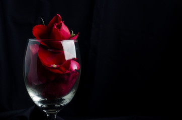 red roses and maried ring