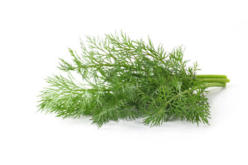 fresh dill isolated on a white background