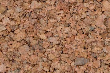 Natural cork pin board texture or background, blank, close-up