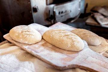 Fresh uncooked organic bread with white flour on it on a wooden peel