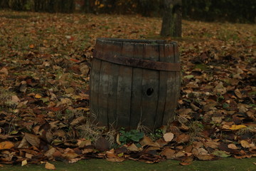 Fototapeta premium Barrel in autumn atmosphere