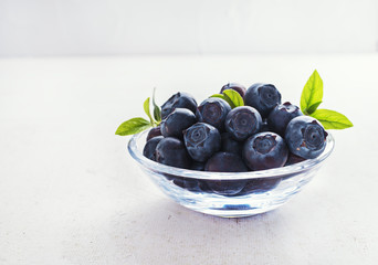 Blueberry in glass bowl on  white rustic background.