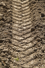 Traktor Spuren auf dem Feld