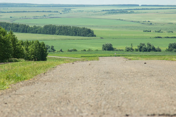 Fototapeta na wymiar Country road. Picturesque summer view.