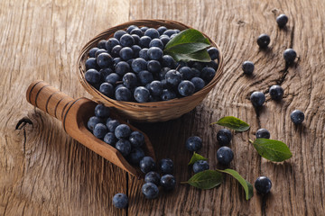 Sloes in bowl