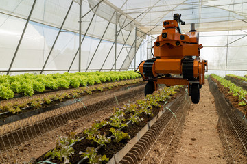 smart robotic in agriculture futuristic concept, robot farmers (automation) must be programmed to...