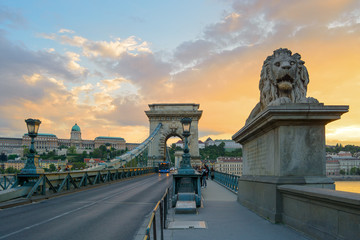 Fototapeta premium Szechenyi chain bridge with lion sculpture in Budapest