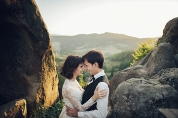 Amazing wedding couple is hugging each other in mountains