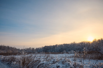 Beautiful winter landscape of snow-covered forest with a clearing.