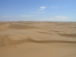 My Dune