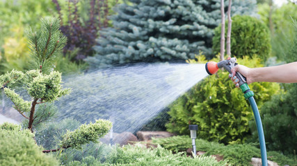 Hand garden hose with water spray, watering flowers, close-up, water splashes, landscape design,...