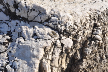 rocks detail