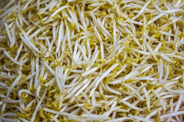Bean sprouts