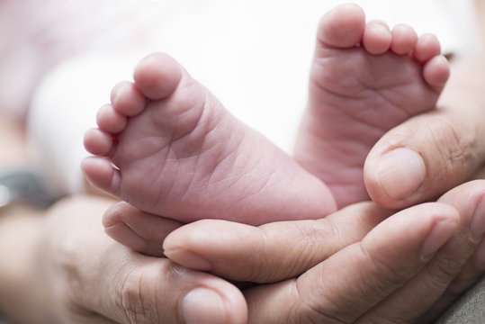 Cute Infants' Feet