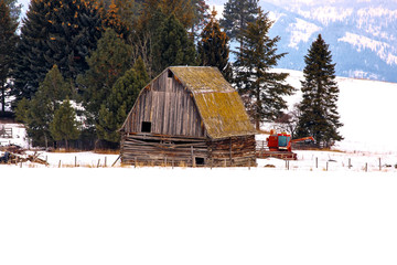 Old log rural gambrel roof barn in winter with combine behind it in rural Montana