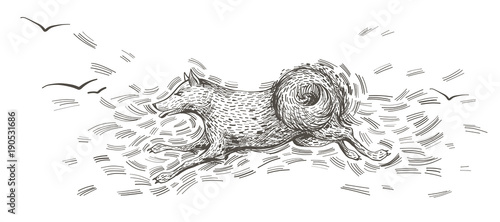 Kellas Campbell Pencil Sketch Of A Running Dog Australian