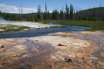Geothermal Features of Yellowstone National Park