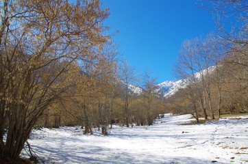Paysage de montagne en neige