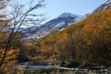 【チリ】トーレス・デル・パイネ国立公園