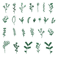Fototapeta premium Flower and tree doodle set.