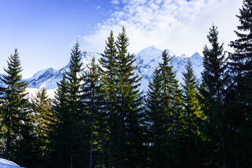 Beautiful landscape of snowy mountain view with sprouce of pine tress in Bellvue Saint-Gervais-les-Bains. Alps mountain top near Mont Blanc. Famoust place for winter sport like skiing with family