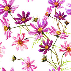 Seamless background pattern of flowers of cosmos.