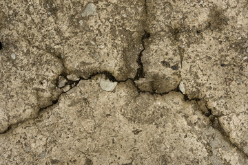 texture  of old concrete in cracks