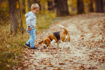 Boy with beagle