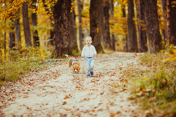 Fototapeta premium Boy with beagle