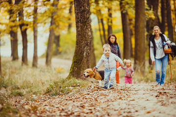 Fototapeta premium Boy with beagle