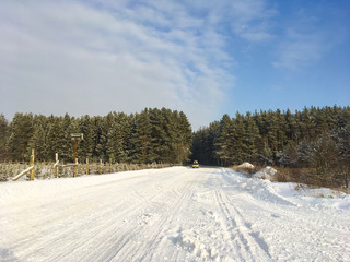 Fototapeta na wymiar Fabulous Russian winter pine forest in the freezing weather
