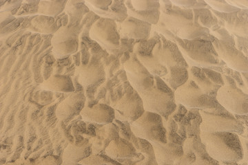 Brown sandy beach for background. Sand beach texture