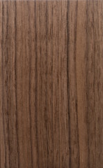 American walnut