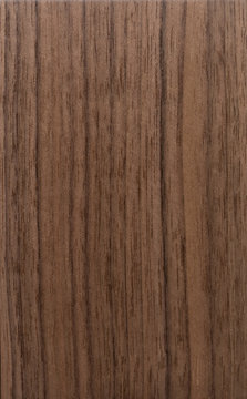 American walnut