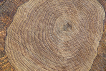 Naklejka premium Holz mit Struktur und Jahresringe als Hintergrund