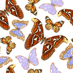 Colorful and bright tropical butterflies. Seamless pattern.