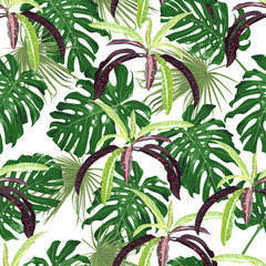 Monstera, palm leaves and vines. Seamless pattern with tropical leaves.