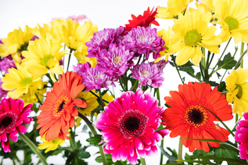 Strauß Frühlingsblumen vor weißem Hintergrund