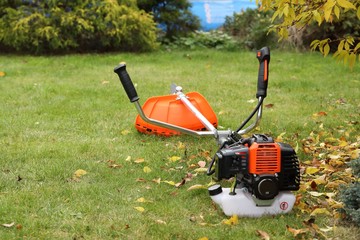 Brush cutter with leaf in decoration autumn garden