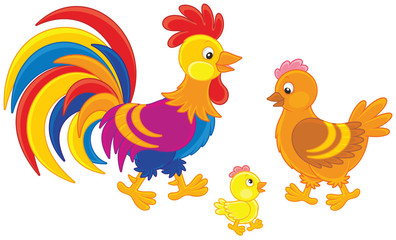 Rooster, hen and chick