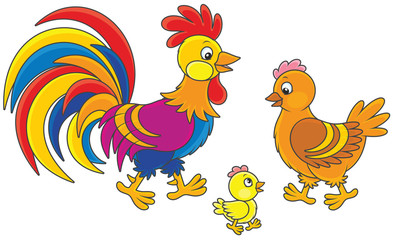 Funny family of a brightly colored rooster, a cute hen and a little chick