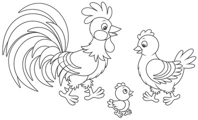 Fototapeta na wymiar Funny family of a rooster, a cute hen and a little chick, a black and white vector illustration in cartoon style for a coloring book