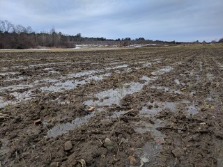 muddy field in winter