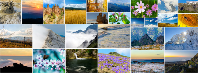 Collage of nature photos
