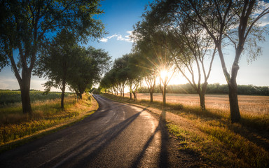 Country road on sunset time near Pannonhalma, Hungary