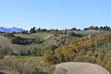 Campagna marchigiana