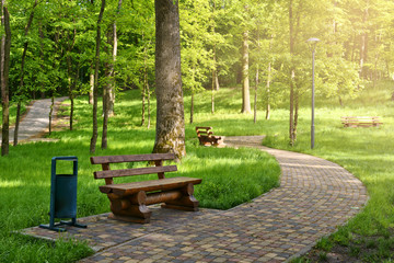 Foot path in a sunny park