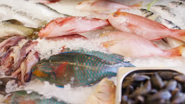 Camera moves along a variety of different steps of fish in a fishmongers shop