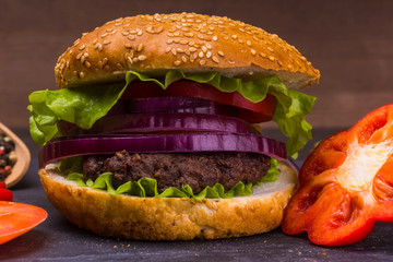 Homemade hamburger with tomatoes, salad and onions closeup