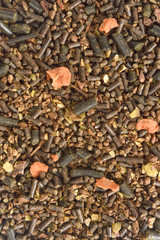 feed horse with lucerne sunflower wheat apple carrot and soybeans